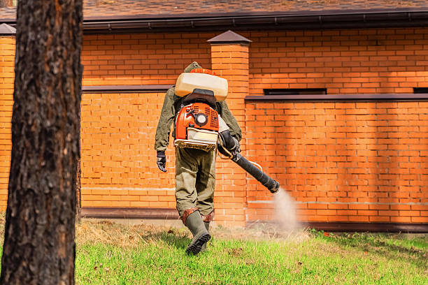Bed Bug Clearance Verification and Documentation in Stillman Valley